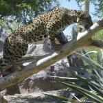 FITS_209 (May 04, 2019)